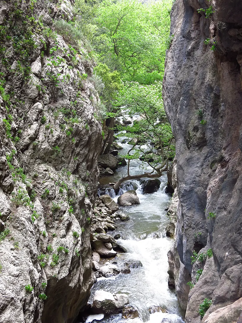 Vouraikos 1