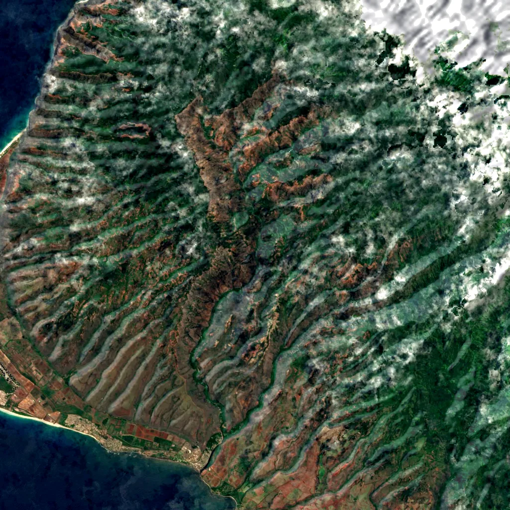 Waimea Canyon State Park seen from above (Sentinel-2)