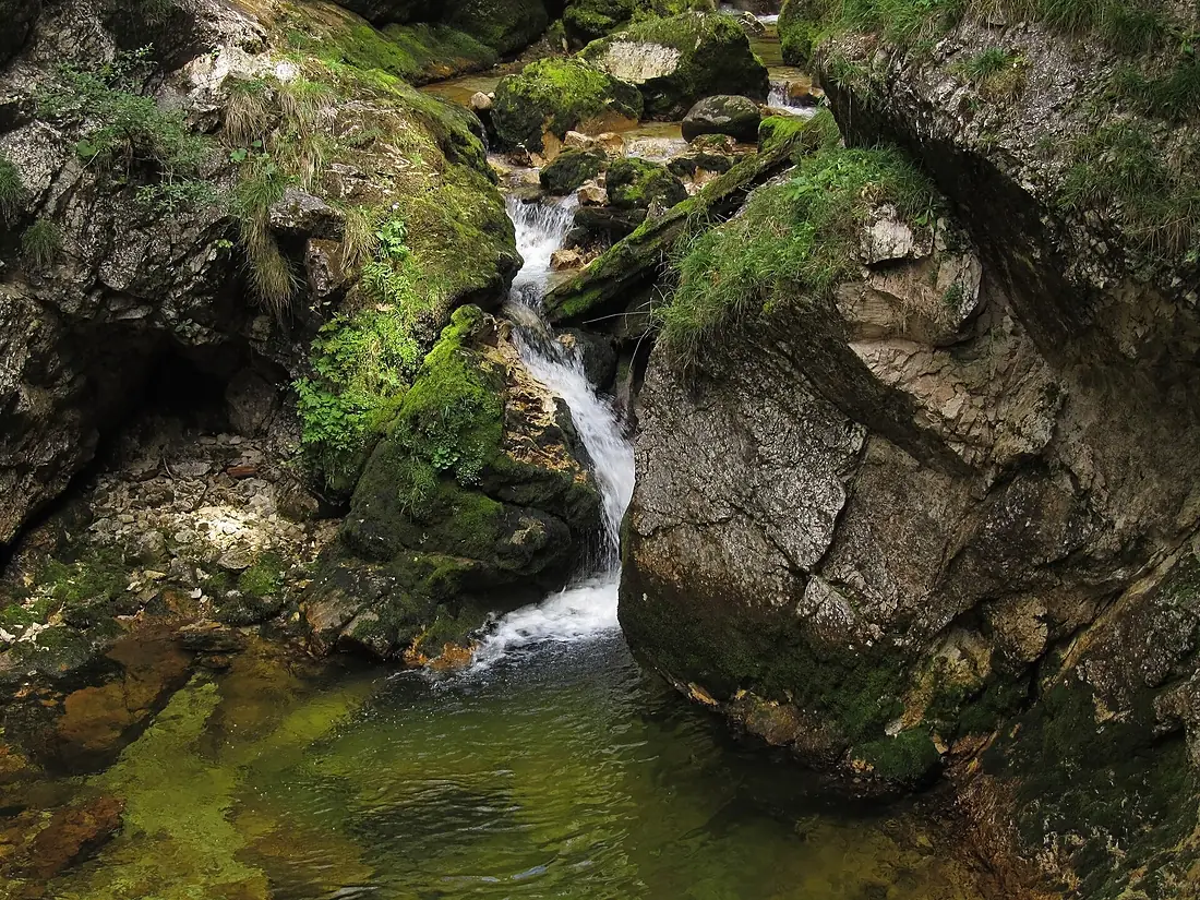 Palfauer Wasserlochklamm 01 2012-08 Naturdenkmal 975