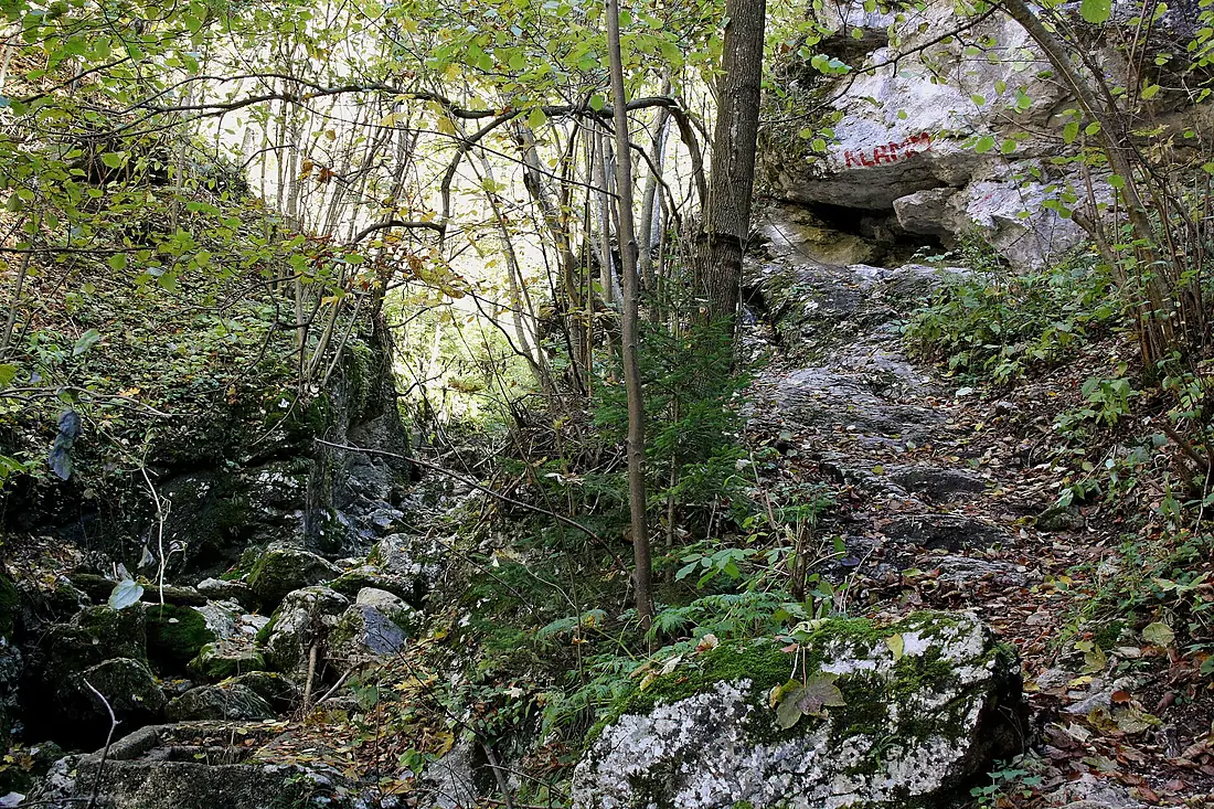 Weichtalklamm 01v18