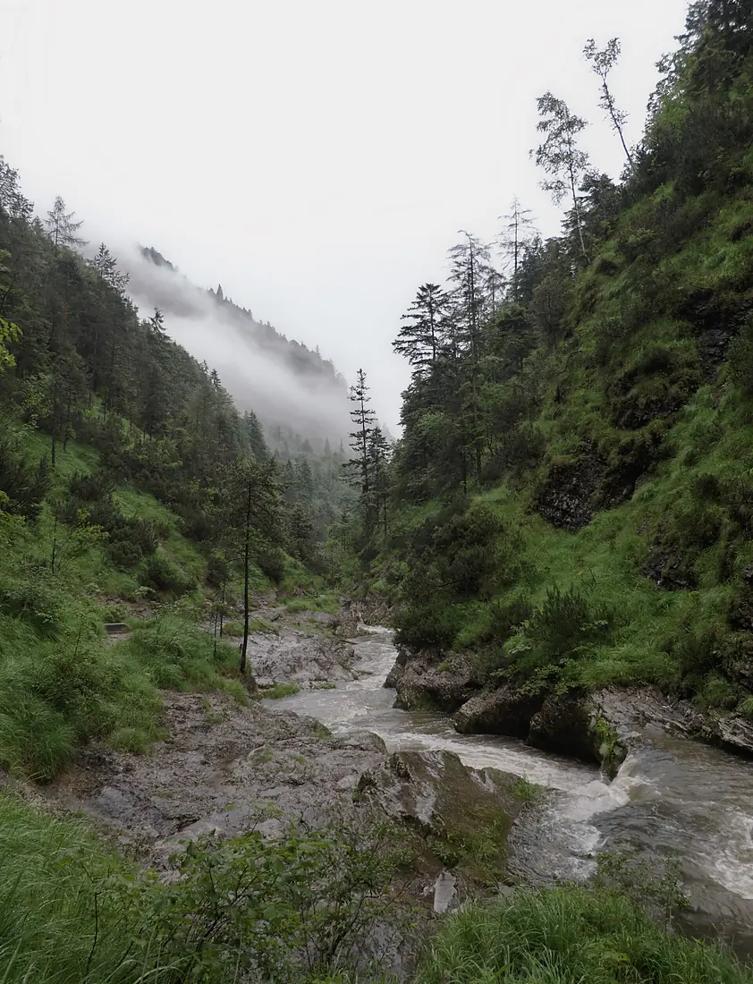 Biosphärenregion Berchtesgadener Land Weißbachklamm Juni 2017 1