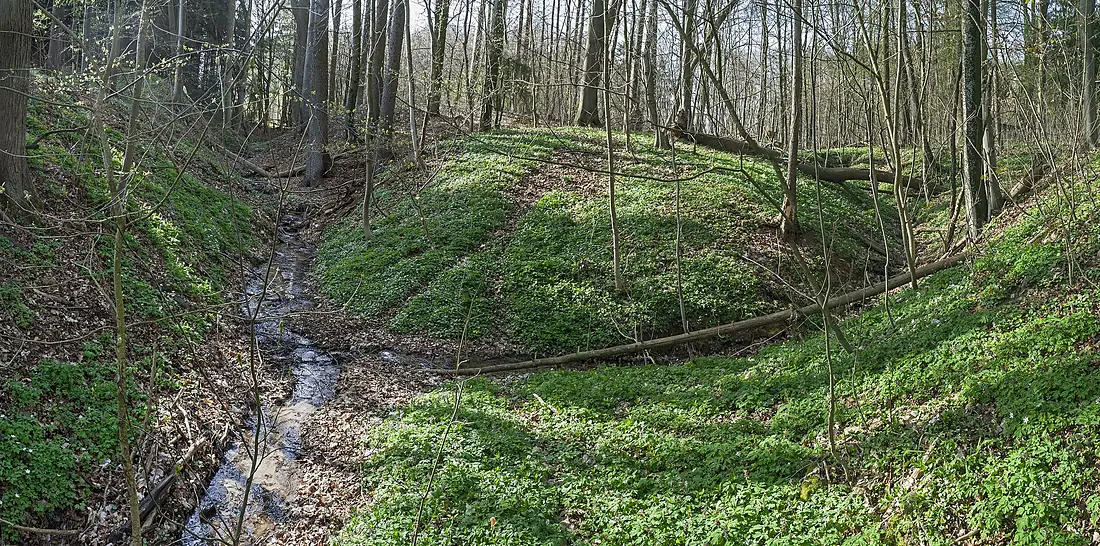 Wolfsschlucht Altdorf 01