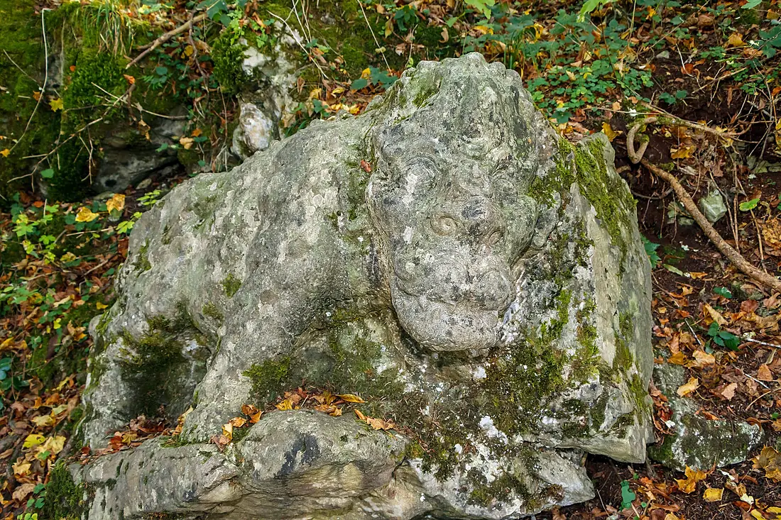 Lion - Wutachflühen