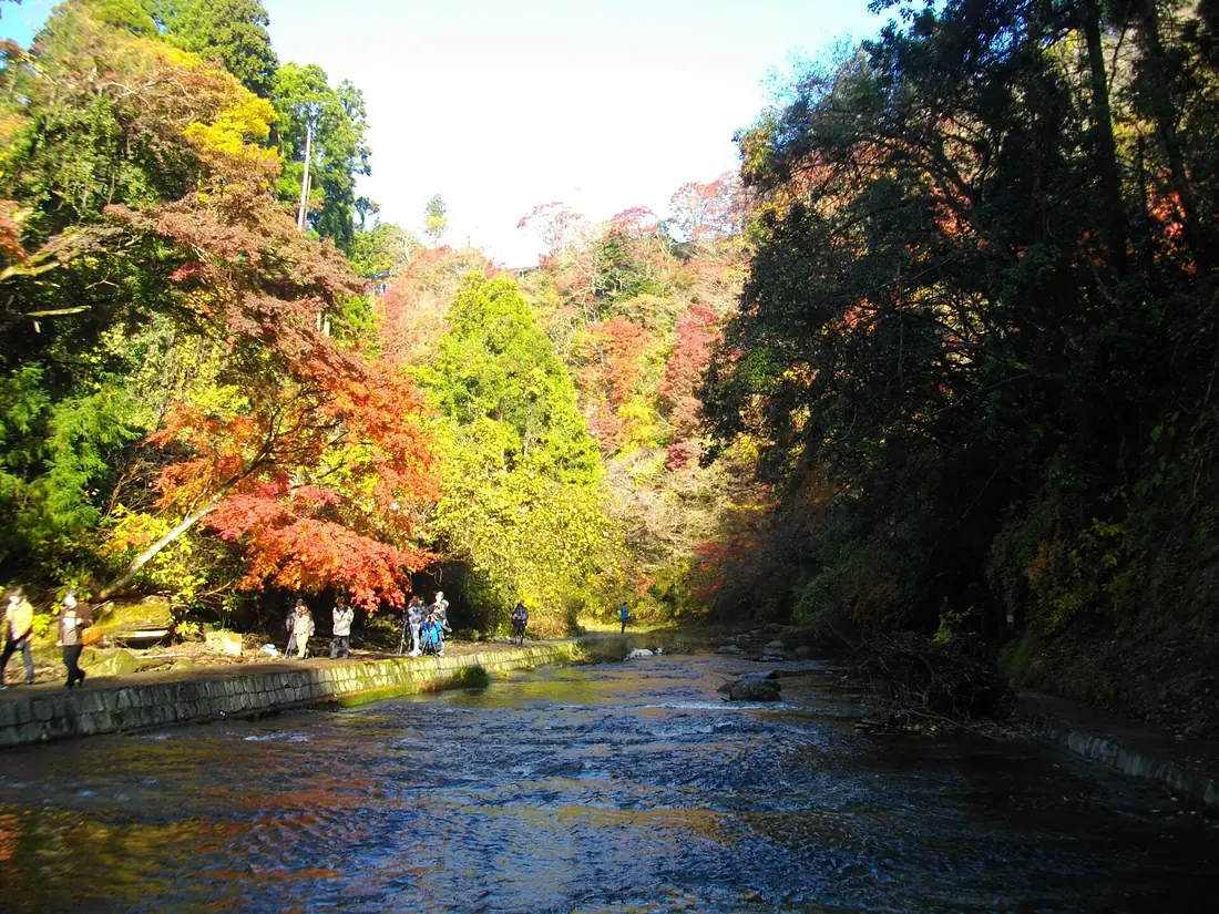 Yoro Keikoku 01