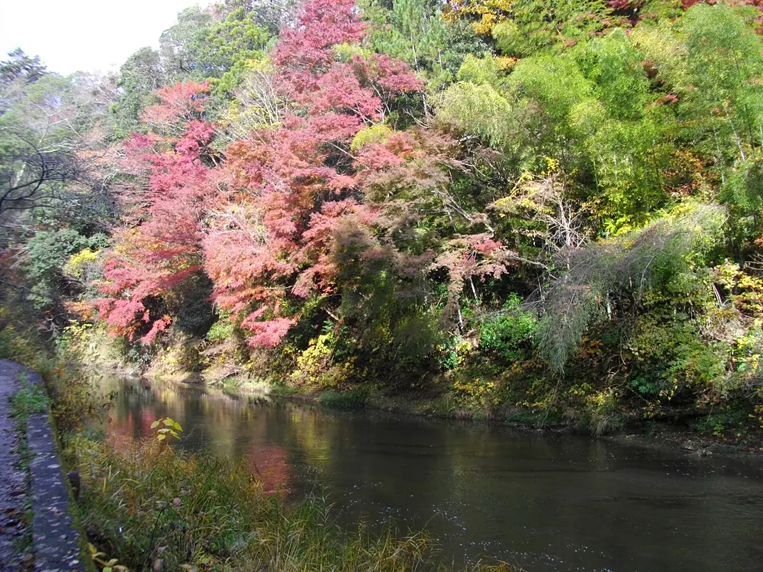 Yoro Keikoku 02