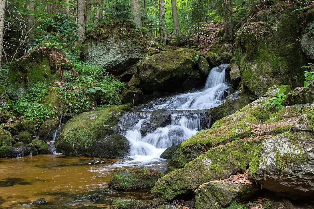 Ysperklamm-8152